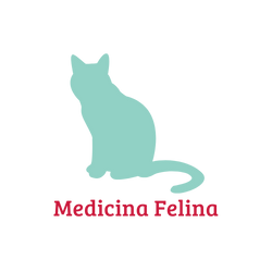 medicina felina bh